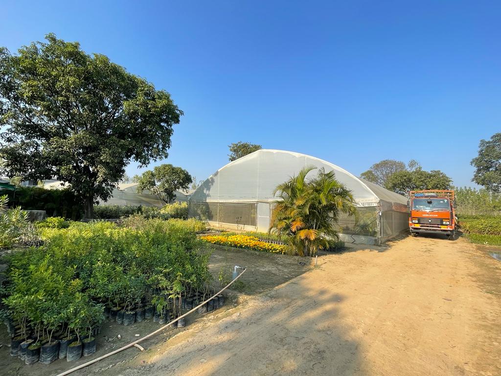 Plant Nursery in Saharanpur